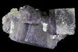 Lustrous Purple Cubic Fluorite Crystals - Morocco #80346-2